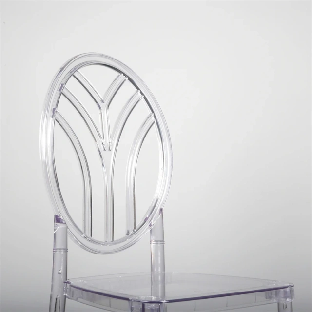 DAILY UP Transparent Acrylic Bamboo Chair Clear Banquet Chairs White Wedding Chair Wedding Supplies,DAILY UP Transparent Acrylic Bamboo Chair Clear Banquet Chairs White Wedding Chair Wedding Supplies,DAILY UP FURNITURE-The professional supplier of School Furniture, Office Furniture, Home Furnirure