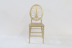 Resin Gold Color Royal Event Hotel Chairs for Coffee Shop Dining,Resin Gold Color Royal Event Hotel Chairs for Coffee Shop Dining,DAILY UP FURNITURE-The professional supplier of School Furniture, Office Furniture, Home Furnirure