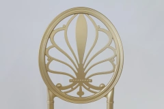 Resin Gold Color Royal Event Hotel Chairs for Coffee Shop Dining,Resin Gold Color Royal Event Hotel Chairs for Coffee Shop Dining,DAILY UP FURNITURE-The professional supplier of School Furniture, Office Furniture, Home Furnirure