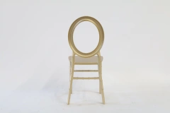 Stackable Champagne Gold Plastic Dining Chairs for Hotel Outdoor Wedding,Stackable Champagne Gold Plastic Dining Chairs for Hotel Outdoor Wedding,DAILY UP FURNITURE-The professional supplier of School Furniture, Office Furniture, Home Furnirure