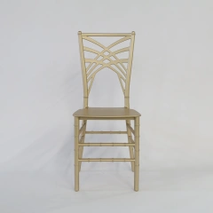 Wholesale Wedding Events Stacking Resin Gold Chameleon Chairs,Wholesale Wedding Events Stacking Resin Gold Chameleon Chairs,DAILY UP FURNITURE-The professional supplier of School Furniture, Office Furniture, Home Furnirure