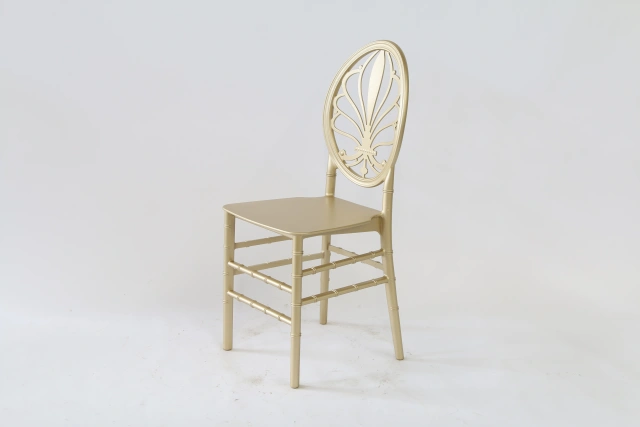 Resin Gold Color Royal Event Hotel Chairs for Coffee Shop Dining,Resin Gold Color Royal Event Hotel Chairs for Coffee Shop Dining,DAILY UP FURNITURE-The professional supplier of School Furniture, Office Furniture, Home Furnirure