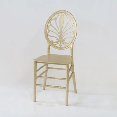 Resin Gold Color Royal Event Hotel Chairs for Coffee Shop Dining,Resin Gold Color Royal Event Hotel Chairs for Coffee Shop Dining,DAILY UP FURNITURE-The professional supplier of School Furniture, Office Furniture, Home Furnirure