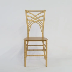 Wholesale Wedding Events Stacking Resin Gold Chameleon Chairs,Wholesale Wedding Events Stacking Resin Gold Chameleon Chairs,DAILY UP FURNITURE-The professional supplier of School Furniture, Office Furniture, Home Furnirure