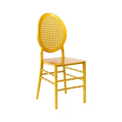 New Design Grid Back Stacking Gold Resin Wedding Event Chairs for Sale,New Design Grid Back Stacking Gold Resin Wedding Event Chairs for Sale,DAILY UP FURNITURE-The professional supplier of School Furniture, Office Furniture, Home Furnirure
