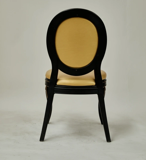 New Wedding Event Party Rental Dining Banquet Hall Hotel Ghost Chair,New Wedding Event Party Rental Dining Banquet Hall Hotel Ghost Chair,DAILY UP FURNITURE-The professional supplier of School Furniture, Office Furniture, Home Furnirure