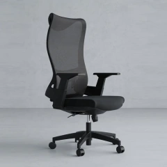 Fashionable Highback Mesh Office Chair With BIFMA 2.5mm Gas Lift Ergonomic Executive Office Chair With High-Density Sponge,Fashionable Highback Mesh Office Chair With BIFMA 2.5mm Gas Lift Ergonomic Executive Office Chair With High-Density Sponge,DAILY UP FURNITURE-The professional supplier of School Furniture, Office Furniture, Home Furnirure