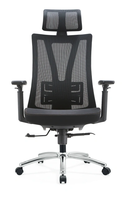 Factory Ergonomic Flexible Lumbar Support with Seat Shell Height Adjustable Mesh Office Chair,Factory Ergonomic Flexible Lumbar Support with Seat Shell Height Adjustable Mesh Office Chair,DAILY UP FURNITURE-The professional supplier of School Furniture, Office Furniture, Home Furnirure