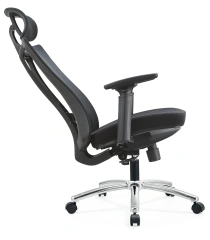 Factory Ergonomic Flexible Lumbar Support with Seat Shell Height Adjustable Mesh Office Chair,Factory Ergonomic Flexible Lumbar Support with Seat Shell Height Adjustable Mesh Office Chair,DAILY UP FURNITURE-The professional supplier of School Furniture, Office Furniture, Home Furnirure