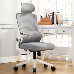 DAILY UP High Quality Comfortable Armrest Adjustable Swivel Mesh Executive Ergonomic Office Chair with Lumbar Support,DAILY UP High Quality Comfortable Armrest Adjustable Swivel Mesh Executive Ergonomic Office Chair with Lumbar Support,DAILY UP FURNITURE-The professional supplier of School Furniture, Office Furniture, Home Furnirure