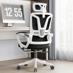 Factory Price Leisure Gaming Office Mesh Chair With Headrest and Footrest Reclining Comfortable Executive Chair,Factory Price Leisure Gaming Office Mesh Chair With Headrest and Footrest Reclining Comfortable Executive Chair,DAILY UP FURNITURE-The professional supplier of School Furniture, Office Furniture, Home Furnirure