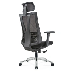 Factory Ergonomic Flexible Lumbar Support with Seat Shell Height Adjustable Mesh Office Chair,Factory Ergonomic Flexible Lumbar Support with Seat Shell Height Adjustable Mesh Office Chair,DAILY UP FURNITURE-The professional supplier of School Furniture, Office Furniture, Home Furnirure