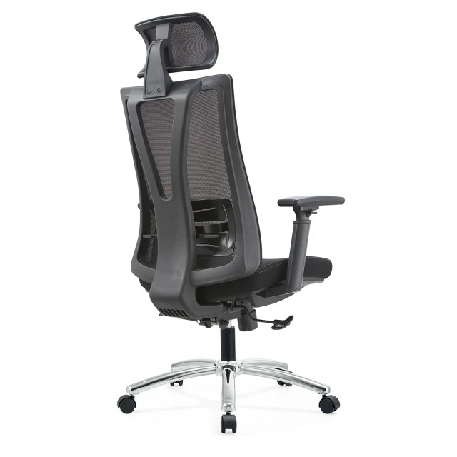 Factory Ergonomic Flexible Lumbar Support with Seat Shell Height Adjustable Mesh Office Chair,Factory Ergonomic Flexible Lumbar Support with Seat Shell Height Adjustable Mesh Office Chair,DAILY UP FURNITURE-The professional supplier of School Furniture, Office Furniture, Home Furnirure