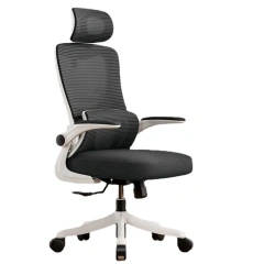 DAILY UP High Quality Comfortable Armrest Adjustable Swivel Mesh Executive Ergonomic Office Chair with Lumbar Support,DAILY UP High Quality Comfortable Armrest Adjustable Swivel Mesh Executive Ergonomic Office Chair with Lumbar Support,DAILY UP FURNITURE-The professional supplier of School Furniture, Office Furniture, Home Furnirure