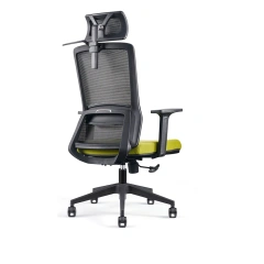 Modern Luxury Ergonomic Office Chair Comfort Executive Gaming Home Office Mesh Fabric Plastic Lumbar Support Office Chair,Modern Luxury Ergonomic Office Chair Comfort Executive Gaming Home Office Mesh Fabric Plastic Lumbar Support Office Chair,DAILY UP FURNITURE-The professional supplier of School Furniture, Office Furniture, Home Furnirure