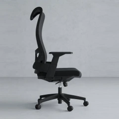 Fashionable Highback Mesh Office Chair With BIFMA 2.5mm Gas Lift Ergonomic Executive Office Chair With High-Density Sponge,Fashionable Highback Mesh Office Chair With BIFMA 2.5mm Gas Lift Ergonomic Executive Office Chair With High-Density Sponge,DAILY UP FURNITURE-The professional supplier of School Furniture, Office Furniture, Home Furnirure