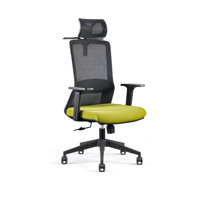 Modern Luxury Ergonomic Office Chair Comfort Executive Gaming Home Office Mesh Fabric Plastic Lumbar Support Office Chair,Modern Luxury Ergonomic Office Chair Comfort Executive Gaming Home Office Mesh Fabric Plastic Lumbar Support Office Chair,DAILY UP FURNITURE-The professional supplier of School Furniture, Office Furniture, Home Furnirure