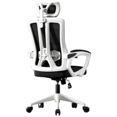 Factory Direct Mesh Swivel Chair With High Back Rest and Foot Rest Slide Armrest Home Office Furniture Adjustable Office Chair,Factory Direct Mesh Swivel Chair With High Back Rest and Foot Rest Slide Armrest Home Office Furniture Adjustable Office Chair,DAILY UP FURNITURE-The professional supplier of School Furniture, Office Furniture, Home Furnirure