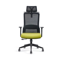 Modern Luxury Ergonomic Office Chair Comfort Executive Gaming Home Office Mesh Fabric Plastic Lumbar Support Office Chair,Modern Luxury Ergonomic Office Chair Comfort Executive Gaming Home Office Mesh Fabric Plastic Lumbar Support Office Chair,DAILY UP FURNITURE-The professional supplier of School Furniture, Office Furniture, Home Furnirure