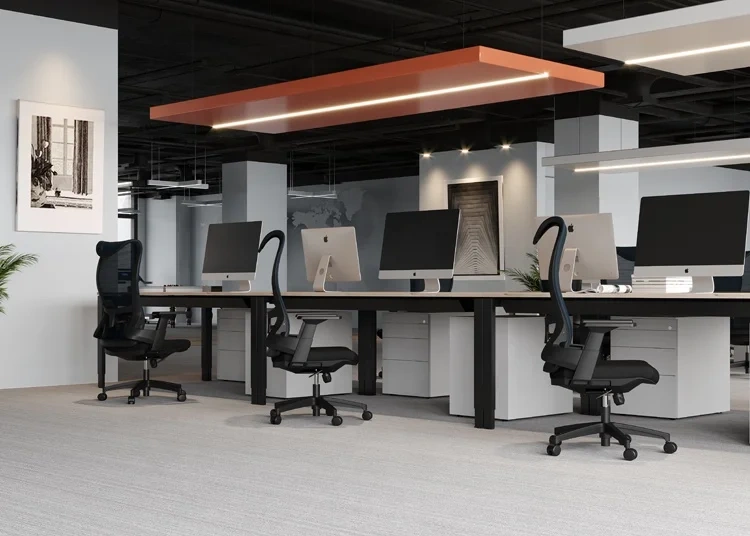 Fashionable Highback Mesh Office Chair With BIFMA 2.5mm Gas Lift Ergonomic Executive Office Chair With High-Density Sponge,Fashionable Highback Mesh Office Chair With BIFMA 2.5mm Gas Lift Ergonomic Executive Office Chair With High-Density Sponge,DAILY UP FURNITURE-The professional supplier of School Furniture, Office Furniture, Home Furnirure