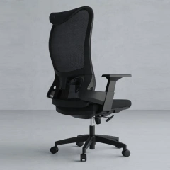 Fashionable Highback Mesh Office Chair With BIFMA 2.5mm Gas Lift Ergonomic Executive Office Chair With High-Density Sponge,Fashionable Highback Mesh Office Chair With BIFMA 2.5mm Gas Lift Ergonomic Executive Office Chair With High-Density Sponge,DAILY UP FURNITURE-The professional supplier of School Furniture, Office Furniture, Home Furnirure