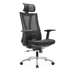 Factory Ergonomic Flexible Lumbar Support with Seat Shell Height Adjustable Mesh Office Chair,Factory Ergonomic Flexible Lumbar Support with Seat Shell Height Adjustable Mesh Office Chair,DAILY UP FURNITURE-The professional supplier of School Furniture, Office Furniture, Home Furnirure