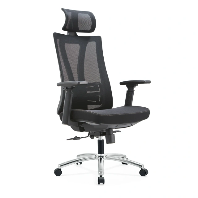 Factory Ergonomic Flexible Lumbar Support with Seat Shell Height Adjustable Mesh Office Chair,Factory Ergonomic Flexible Lumbar Support with Seat Shell Height Adjustable Mesh Office Chair,DAILY UP FURNITURE-The professional supplier of School Furniture, Office Furniture, Home Furnirure