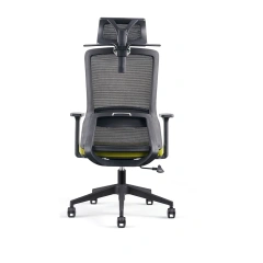 Modern Luxury Ergonomic Office Chair Comfort Executive Gaming Home Office Mesh Fabric Plastic Lumbar Support Office Chair,Modern Luxury Ergonomic Office Chair Comfort Executive Gaming Home Office Mesh Fabric Plastic Lumbar Support Office Chair,DAILY UP FURNITURE-The professional supplier of School Furniture, Office Furniture, Home Furnirure
