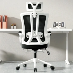 Factory Direct Mesh Swivel Chair With High Back Rest and Foot Rest Slide Armrest Home Office Furniture Adjustable Office Chair,Factory Direct Mesh Swivel Chair With High Back Rest and Foot Rest Slide Armrest Home Office Furniture Adjustable Office Chair,DAILY UP FURNITURE-The professional supplier of School Furniture, Office Furniture, Home Furnirure