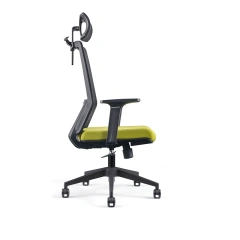 Modern Luxury Ergonomic Office Chair Comfort Executive Gaming Home Office Mesh Fabric Plastic Lumbar Support Office Chair,Modern Luxury Ergonomic Office Chair Comfort Executive Gaming Home Office Mesh Fabric Plastic Lumbar Support Office Chair,DAILY UP FURNITURE-The professional supplier of School Furniture, Office Furniture, Home Furnirure