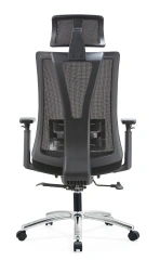Factory Ergonomic Flexible Lumbar Support with Seat Shell Height Adjustable Mesh Office Chair,Factory Ergonomic Flexible Lumbar Support with Seat Shell Height Adjustable Mesh Office Chair,DAILY UP FURNITURE-The professional supplier of School Furniture, Office Furniture, Home Furnirure
