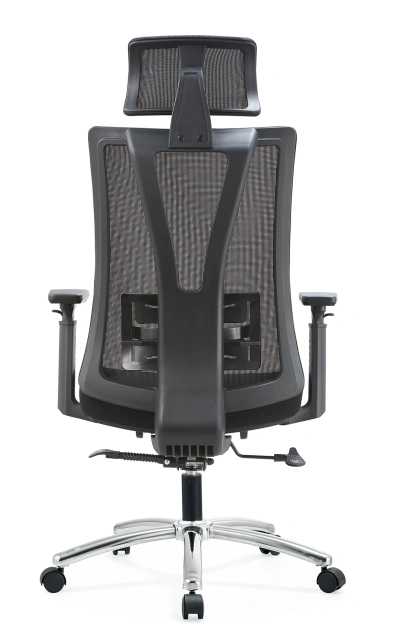 Factory Ergonomic Flexible Lumbar Support with Seat Shell Height Adjustable Mesh Office Chair,Factory Ergonomic Flexible Lumbar Support with Seat Shell Height Adjustable Mesh Office Chair,DAILY UP FURNITURE-The professional supplier of School Furniture, Office Furniture, Home Furnirure