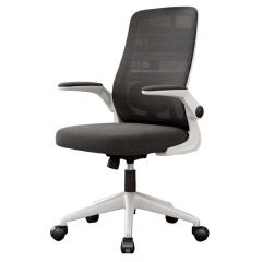 Classic Style Office Furniture Mesh Chair With Multifunctional Lumbar Support Computer Office Chair for Conference Room,Classic Style Office Furniture Mesh Chair With Multifunctional Lumbar Support Computer Office Chair for Conference Room,DAILY UP FURNITURE-The professional supplier of School Furniture, Office Furniture, Home Furnirure