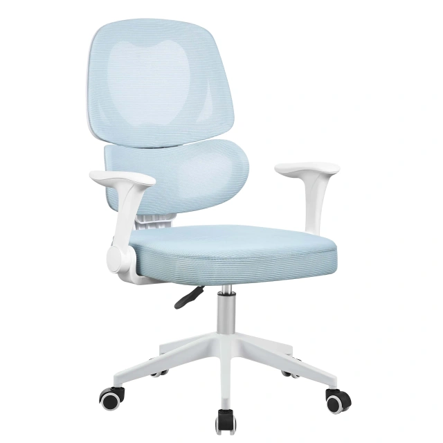 Apple-shaped Backrest with Waist Support Sky Blue Children's Learning Rotating Chair for Children,Apple-shaped Backrest with Waist Support Sky Blue Children's Learning Rotating Chair for Children,DAILY UP FURNITURE-The professional supplier of School Furniture, Office Furniture, Home Furnirure