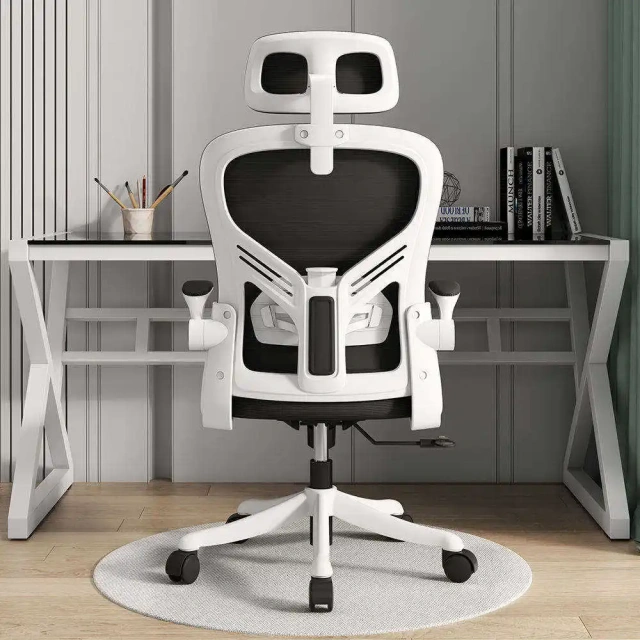 Cheap Price Home Visitor Adjustable Ergonomic Office Swivel Chair Executive Manager Mesh Office Chairs With Lumbar Support,Cheap Price Home Visitor Adjustable Ergonomic Office Swivel Chair Executive Manager Mesh Office Chairs With Lumbar Support,DAILY UP FURNITURE-The professional supplier of School Furniture, Office Furniture, Home Furnirure