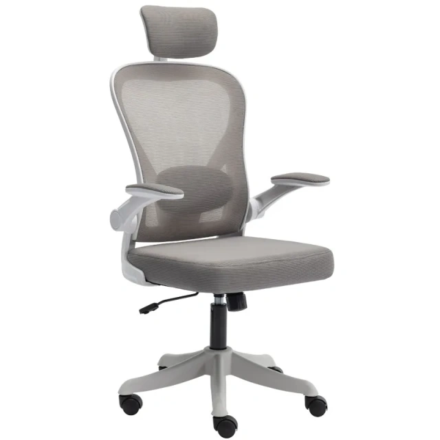 Modern Multi-function Revolving Swivel Mesh Home Office Ergonomic Computer Office Chairs with Head Rest,Modern Multi-function Revolving Swivel Mesh Home Office Ergonomic Computer Office Chairs with Head Rest,DAILY UP FURNITURE-The professional supplier of School Furniture, Office Furniture, Home Furnirure