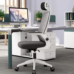 Classic Style Office Furniture Mesh Chair With Multifunctional Lumbar Support Computer Office Chair for Conference Room,Classic Style Office Furniture Mesh Chair With Multifunctional Lumbar Support Computer Office Chair for Conference Room,DAILY UP FURNITURE-The professional supplier of School Furniture, Office Furniture, Home Furnirure