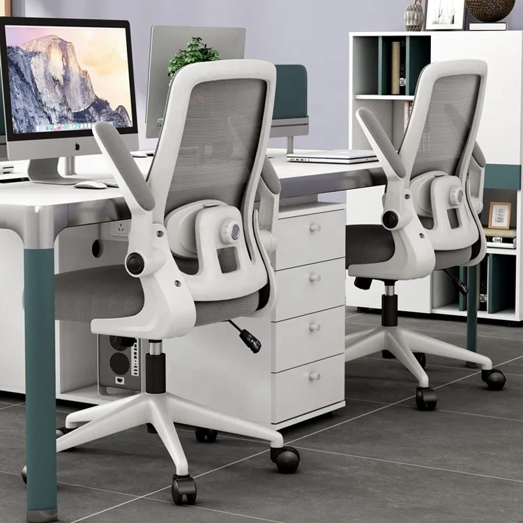 Classic Style Office Furniture Mesh Chair With Multifunctional Lumbar Support Computer Office Chair for Conference Room,Classic Style Office Furniture Mesh Chair With Multifunctional Lumbar Support Computer Office Chair for Conference Room,DAILY UP FURNITURE-The professional supplier of School Furniture, Office Furniture, Home Furnirure