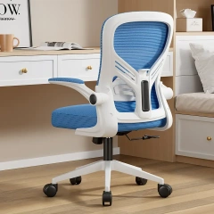 Breathable Design Executive Lumbar Support Cheap Ergonomic Full Mesh Office Chair,Breathable Design Executive Lumbar Support Cheap Ergonomic Full Mesh Office Chair,DAILY UP FURNITURE-The professional supplier of School Furniture, Office Furniture, Home Furnirure