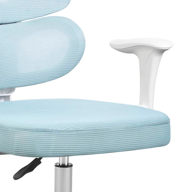 Apple-shaped Backrest with Waist Support Sky Blue Children's Learning Rotating Chair for Children,Apple-shaped Backrest with Waist Support Sky Blue Children's Learning Rotating Chair for Children,DAILY UP FURNITURE-The professional supplier of School Furniture, Office Furniture, Home Furnirure