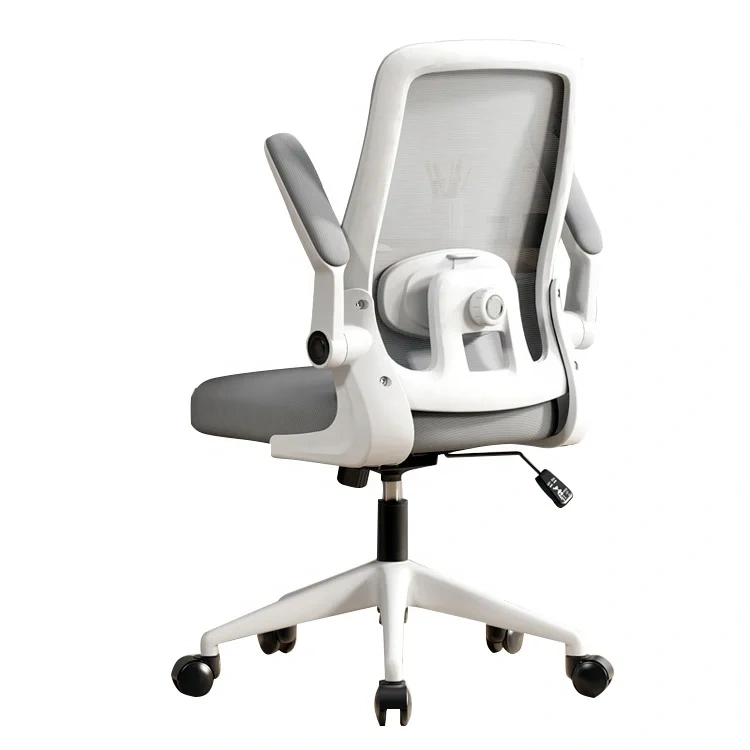 Classic Style Office Furniture Mesh Chair With Multifunctional Lumbar Support Computer Office Chair for Conference Room,Classic Style Office Furniture Mesh Chair With Multifunctional Lumbar Support Computer Office Chair for Conference Room,DAILY UP FURNITURE-The professional supplier of School Furniture, Office Furniture, Home Furnirure
