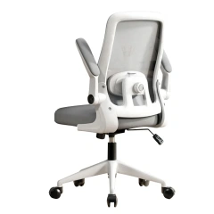 Classic Style Office Furniture Mesh Chair With Multifunctional Lumbar Support Computer Office Chair for Conference Room,Classic Style Office Furniture Mesh Chair With Multifunctional Lumbar Support Computer Office Chair for Conference Room,DAILY UP FURNITURE-The professional supplier of School Furniture, Office Furniture, Home Furnirure