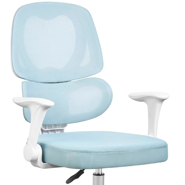 Apple-shaped Backrest with Waist Support Sky Blue Children's Learning Rotating Chair for Children,Apple-shaped Backrest with Waist Support Sky Blue Children's Learning Rotating Chair for Children,DAILY UP FURNITURE-The professional supplier of School Furniture, Office Furniture, Home Furnirure