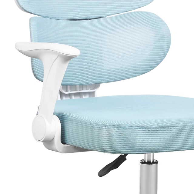 Apple-shaped Backrest with Waist Support Sky Blue Children's Learning Rotating Chair for Children,Apple-shaped Backrest with Waist Support Sky Blue Children's Learning Rotating Chair for Children,DAILY UP FURNITURE-The professional supplier of School Furniture, Office Furniture, Home Furnirure