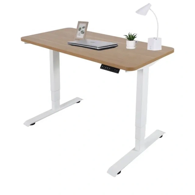 Dual Motor Adjustable Office Desk lifting desk for office or gaming,Dual Motor Adjustable Office Desk lifting desk for office or gaming,DAILY UP FURNITURE-The professional supplier of School Furniture, Office Furniture, Home Furnirure
