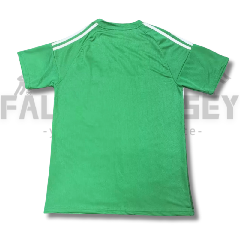 25/26 Newcastle United Away Football Shirt（ Fans Edition ）