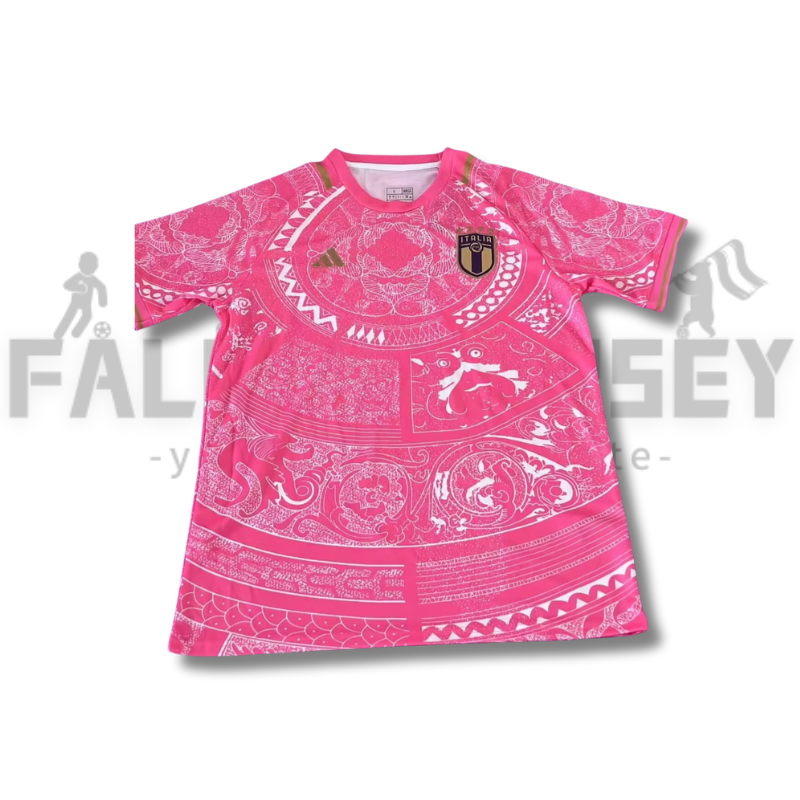 2025/2026 Italy (pink)  Special Version Football Jersey（Fans Version）