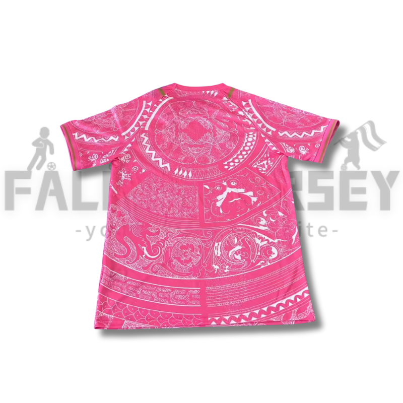 2025/2026 Italy (pink)  Special Version Football Jersey（Fans Version）