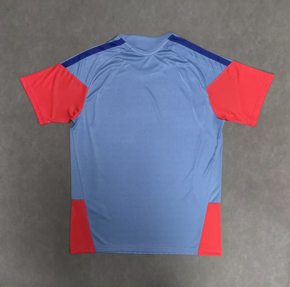 2026 Japan Training Football Shirt（Fans Version）