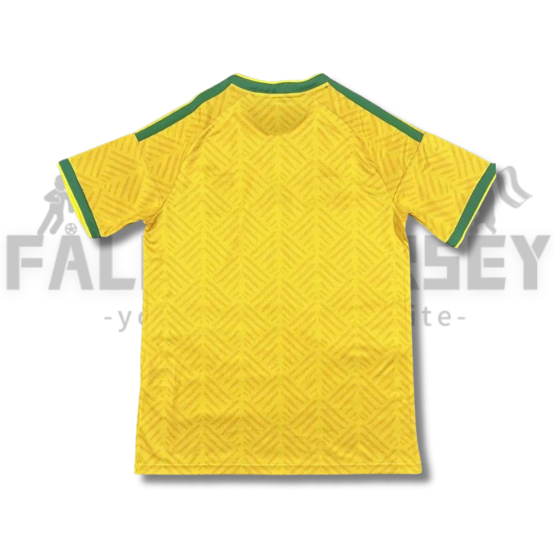 2026/2027 South Africa World Cup Home Jersey（ Fans Edition ）